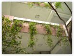 IMG_9773.JPG